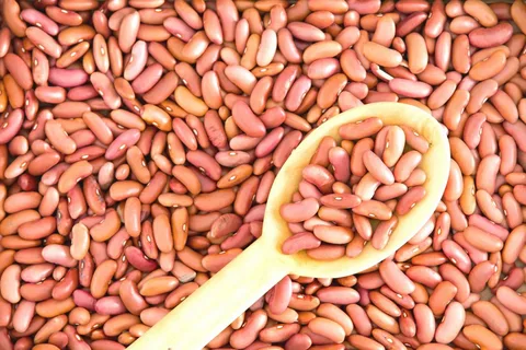 لوبیا چیتی صورتی + با کیفیت و خوش رنگ